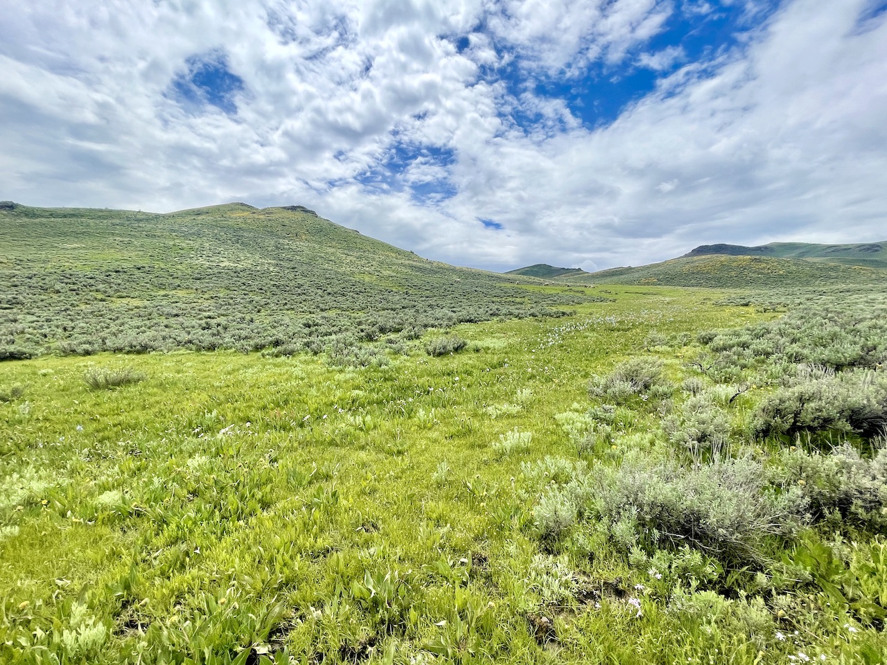 Huff Creek Ranch property picture 40 of 55