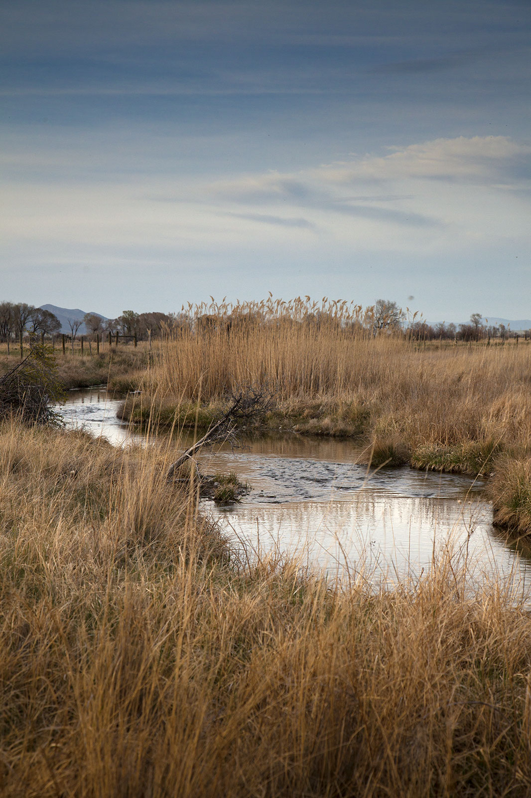 Beaverhead River Ranch property picture 7 of 15