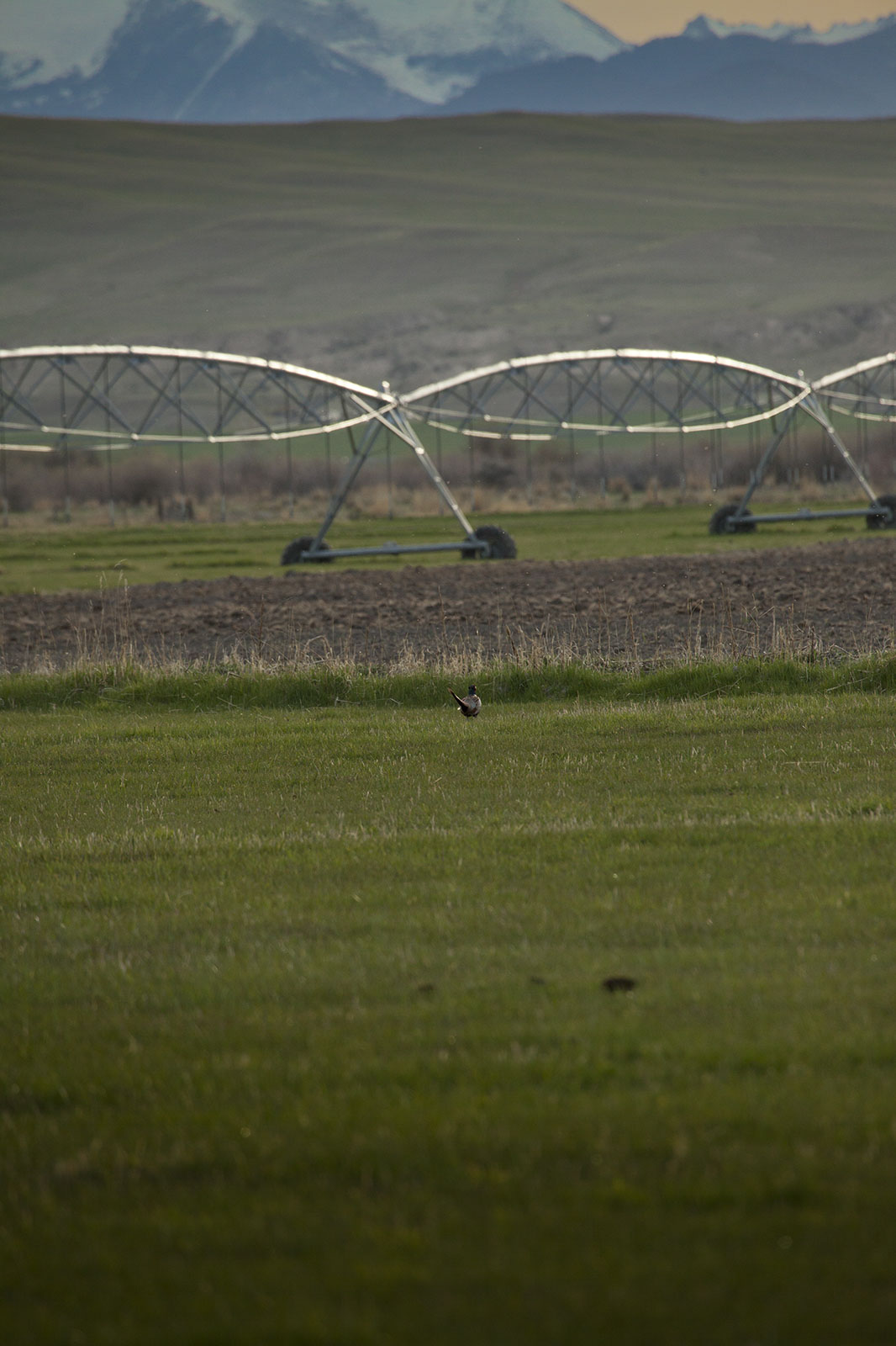 Beaverhead River Ranch property picture 4 of 15
