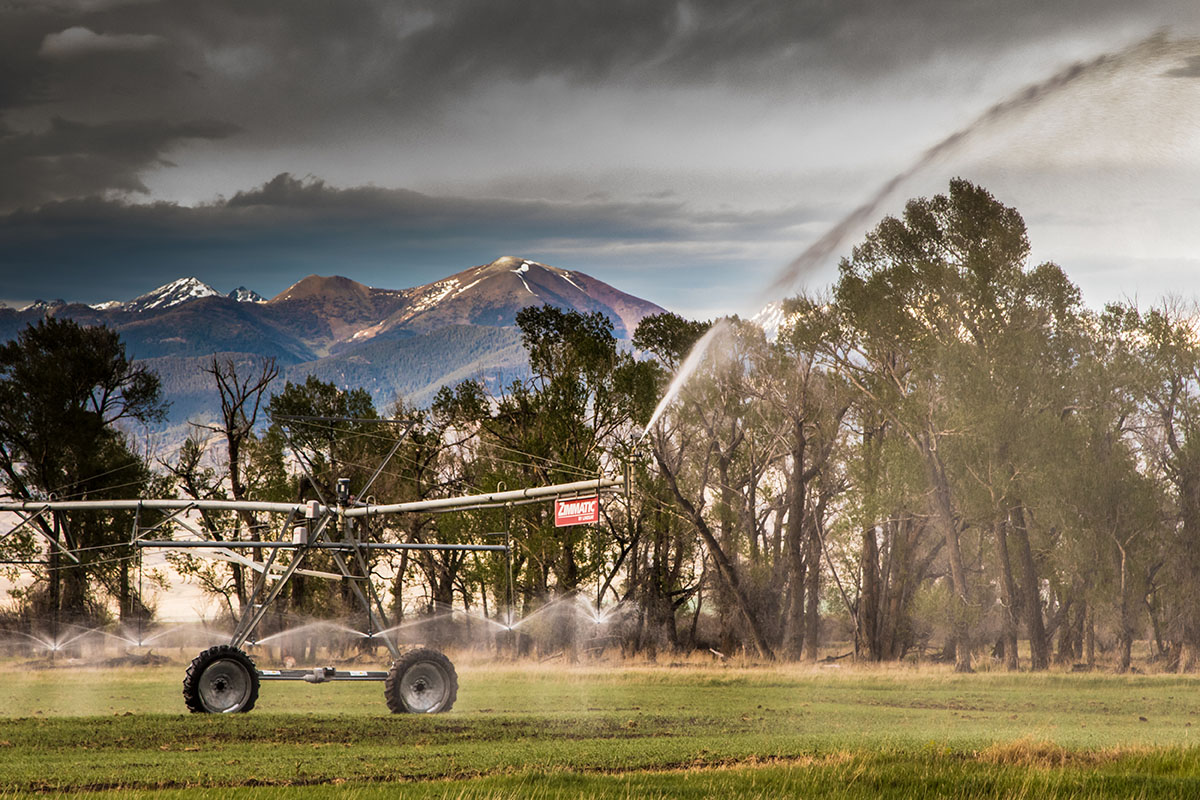 Beaverhead River Ranch property picture 14 of 15