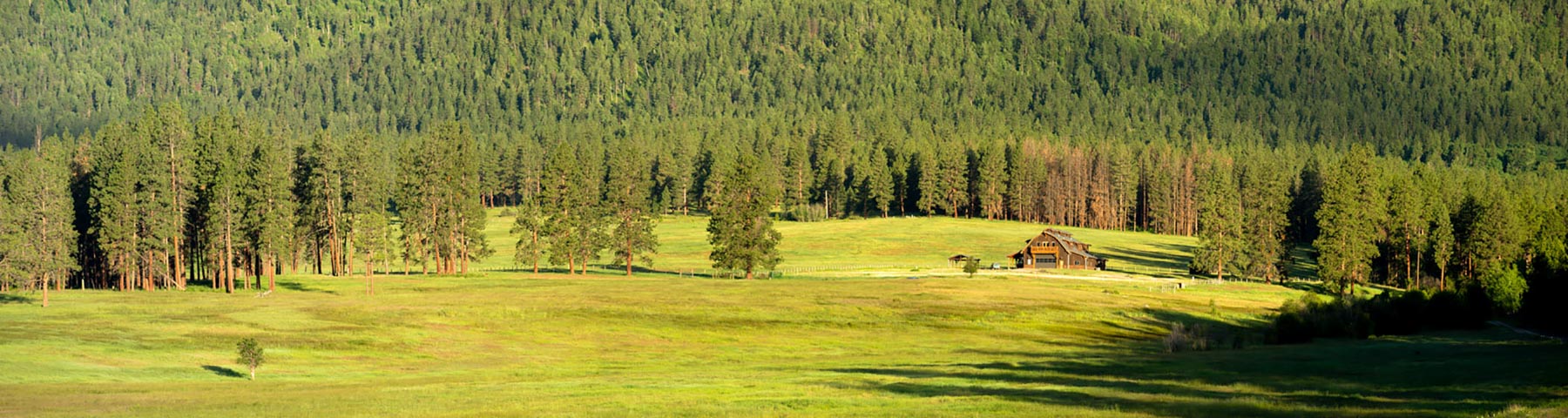 Million Gulch Ranch property picture 25 of 45