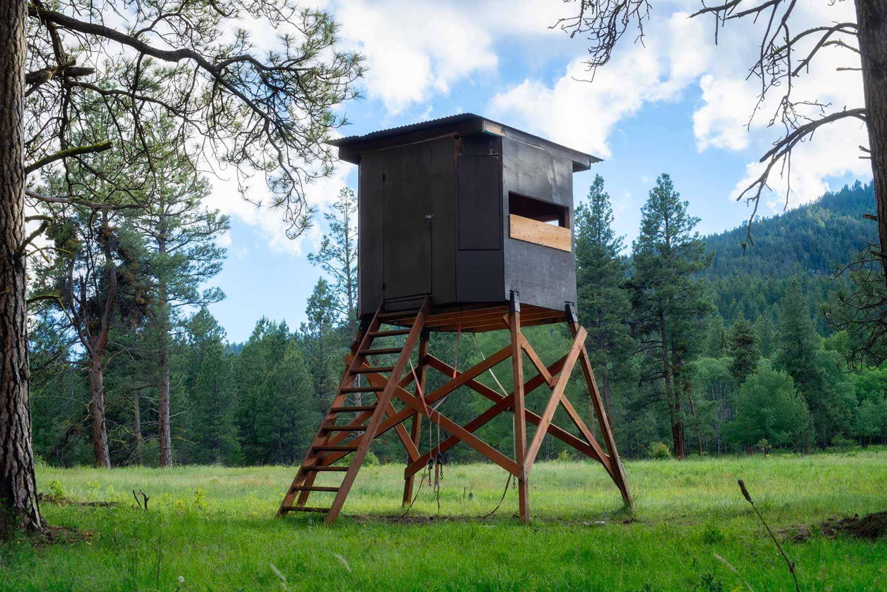 Million Gulch Ranch property picture 16 of 45