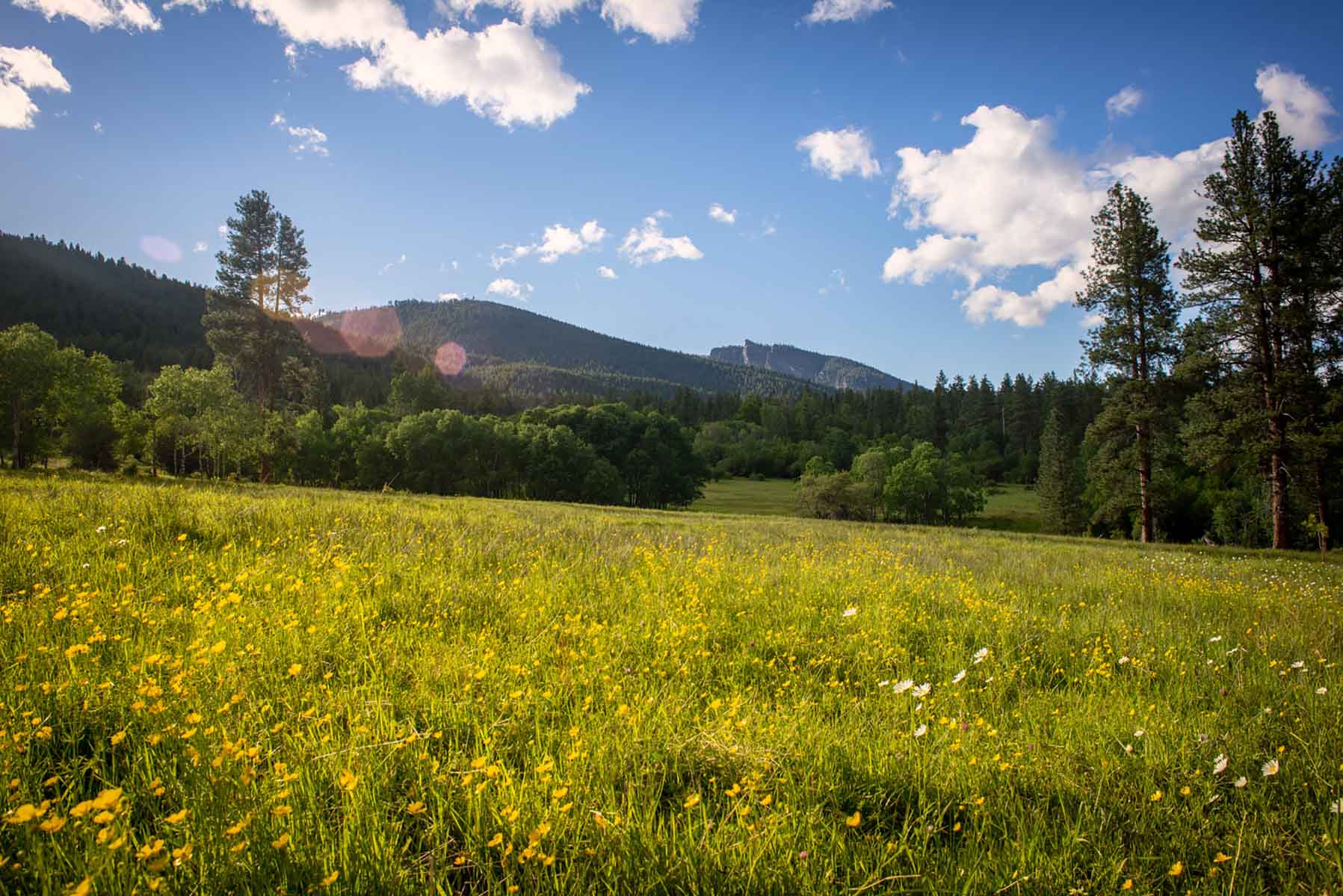 Million Gulch Ranch property picture 2 of 45