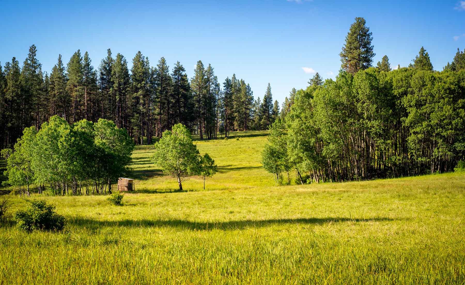 Million Gulch Ranch property picture 27 of 45