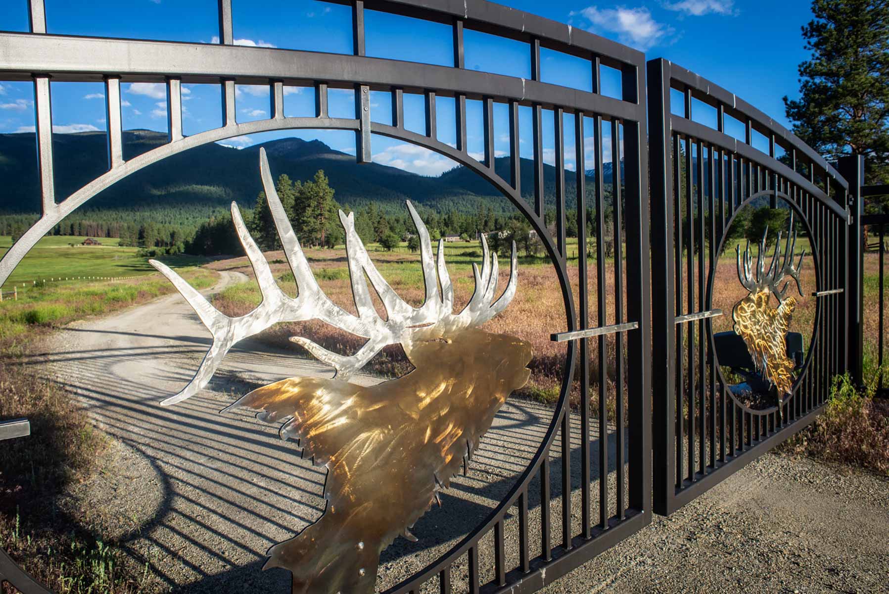 Million Gulch Ranch property picture 14 of 45