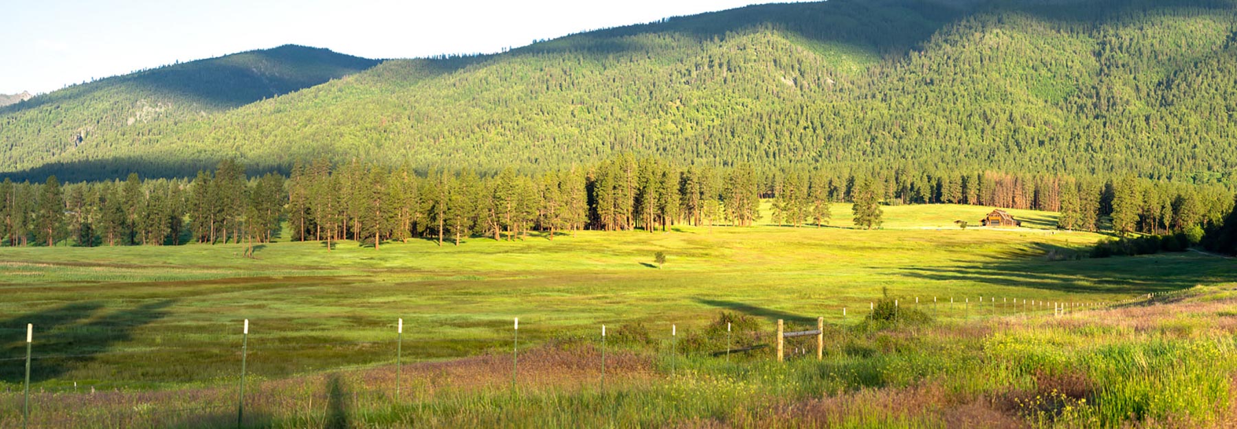 Million Gulch Ranch property picture 23 of 45