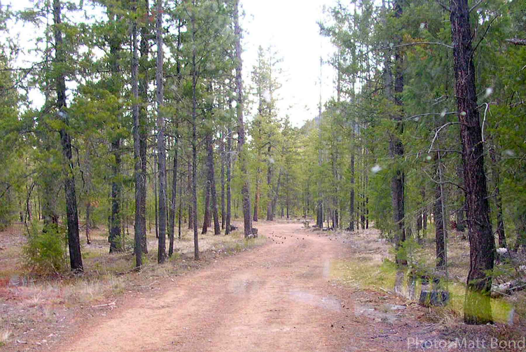 West Fork Fishing Retreat property picture 59 of 60