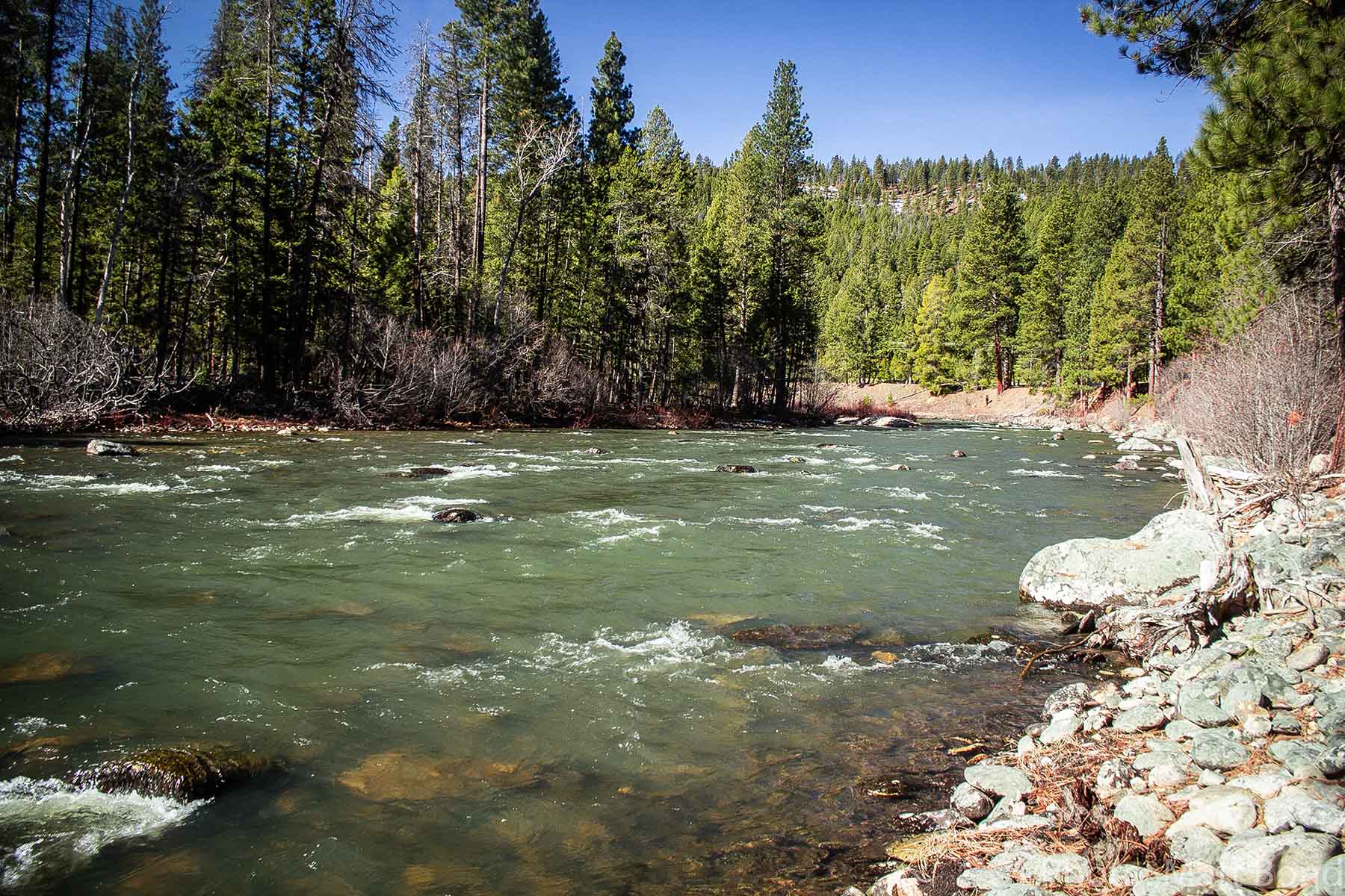 West Fork Fishing Retreat property picture 43 of 60