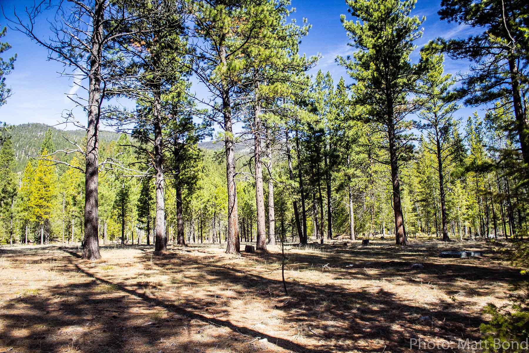 West Fork Fishing Retreat property picture 48 of 60