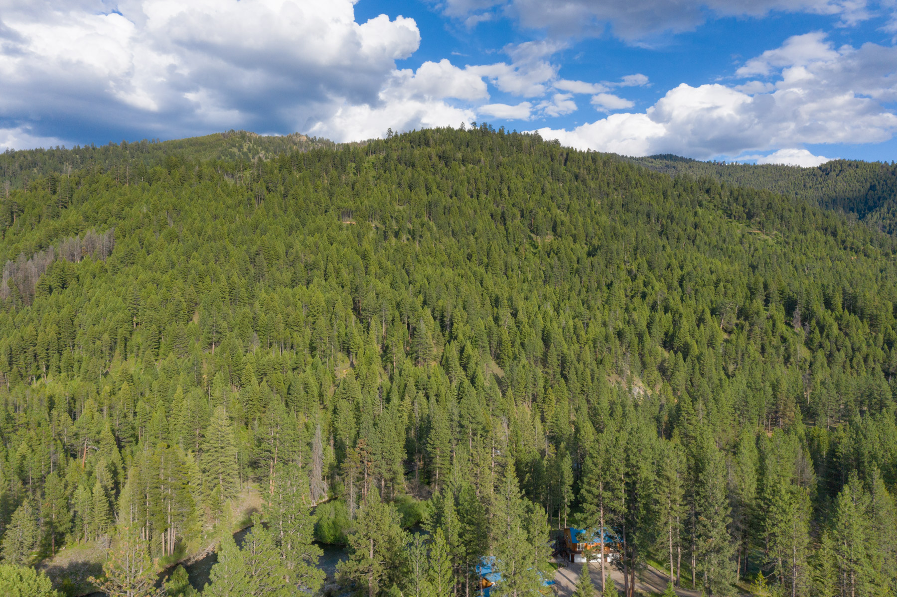 West Fork Fishing Retreat property picture 7 of 60