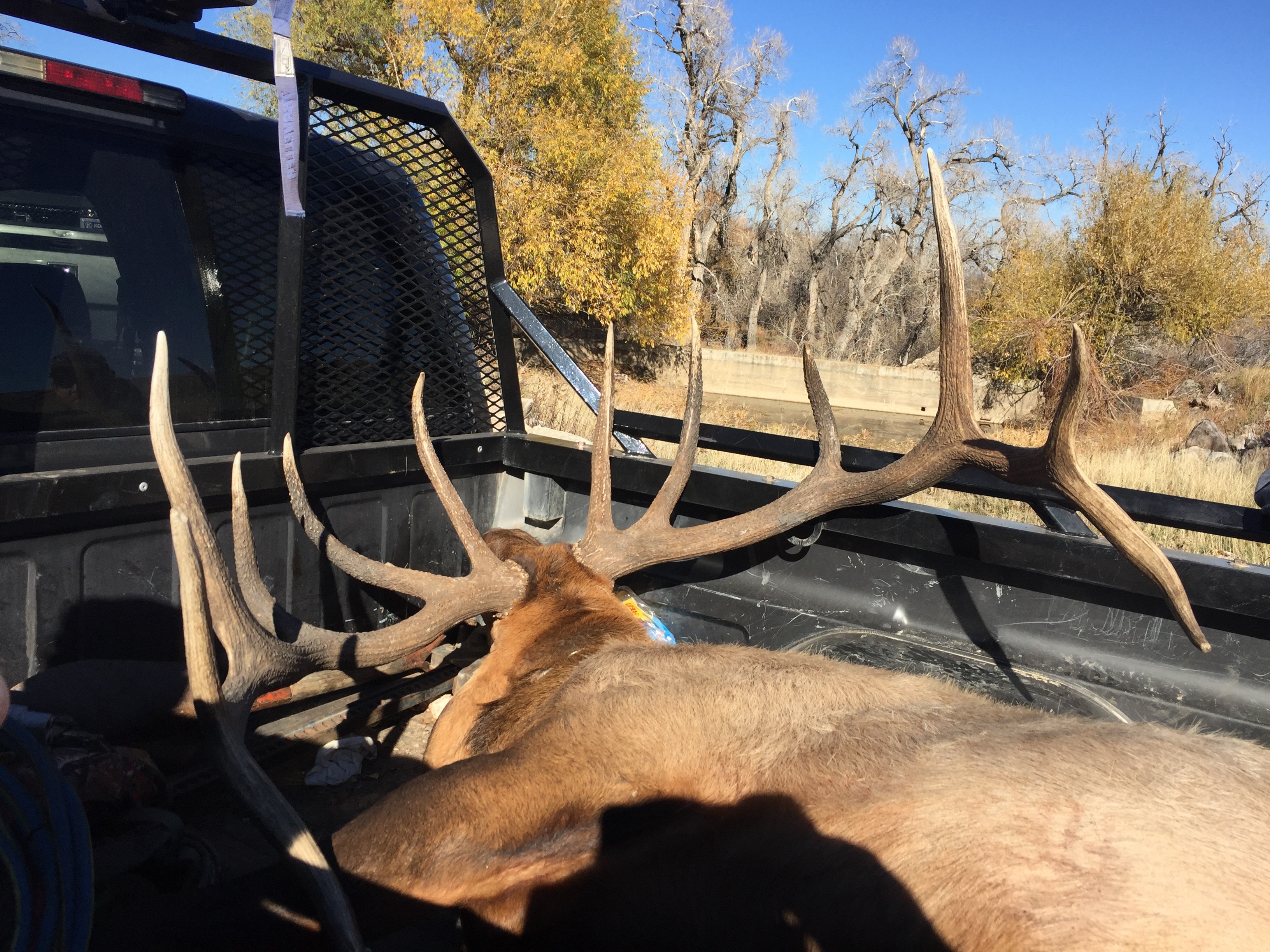 Rapid Canyon Ranch property picture 12 of 72
