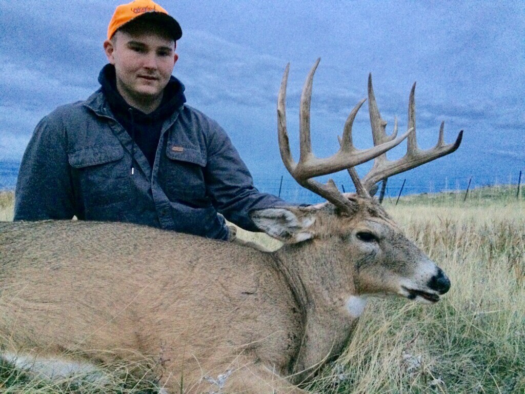 Rapid Canyon Ranch property picture 10 of 72