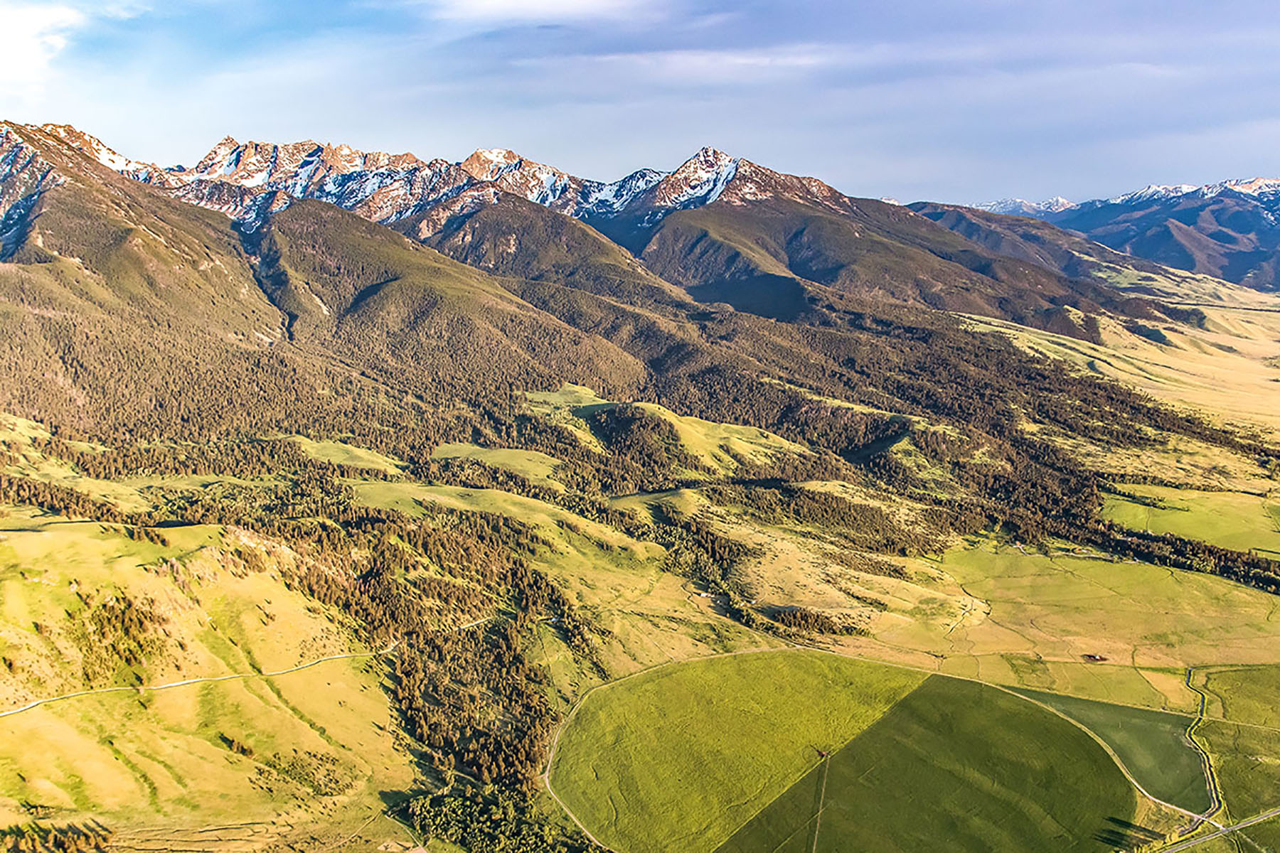Shorthill Homestead property picture 3 of 25