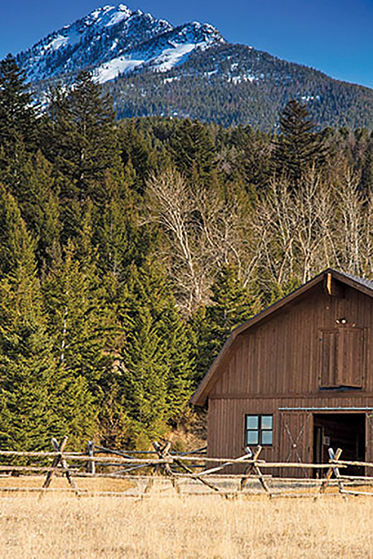 Shorthill Homestead property picture 16 of 25