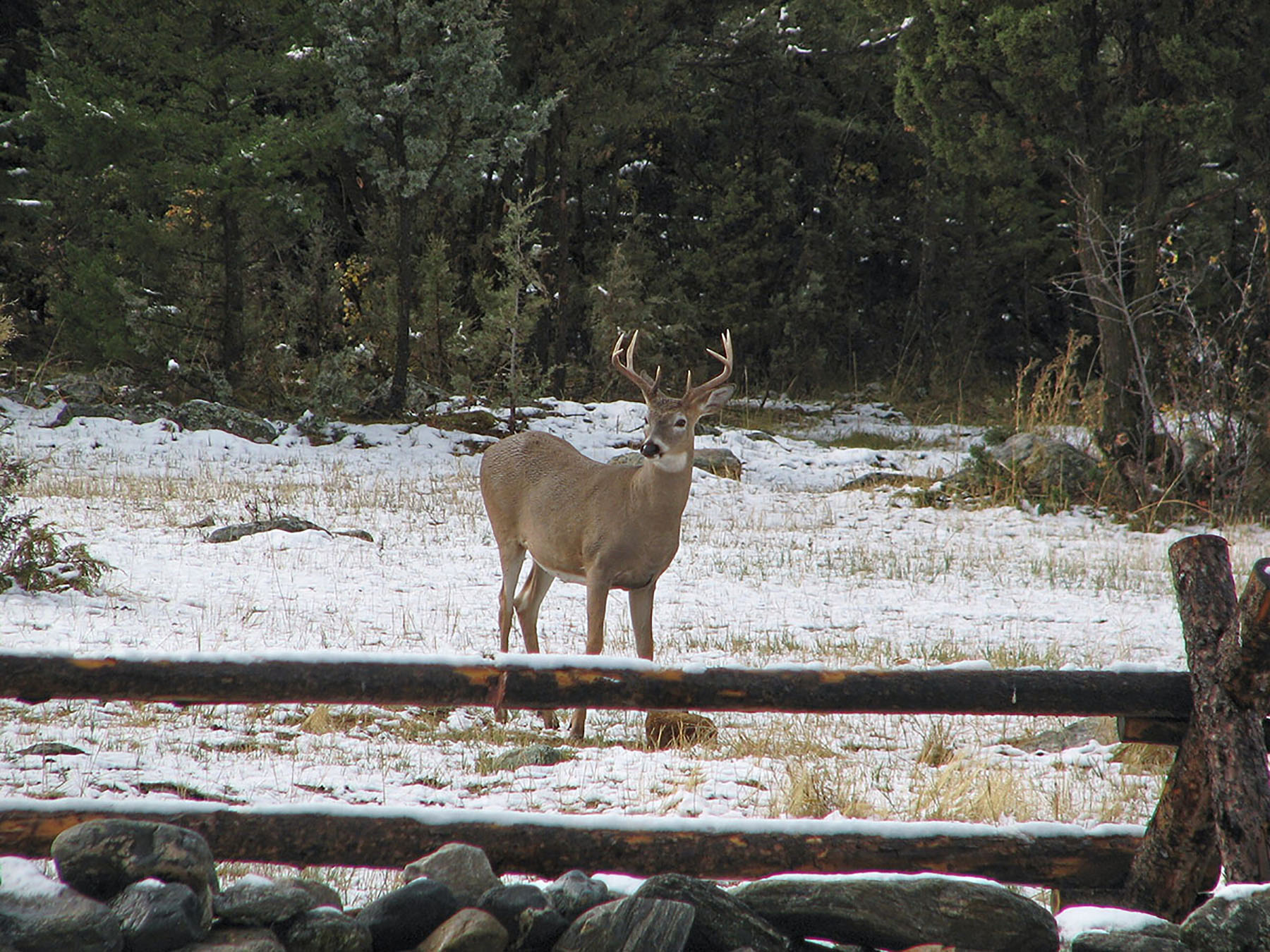 Shorthill Homestead property picture 17 of 25