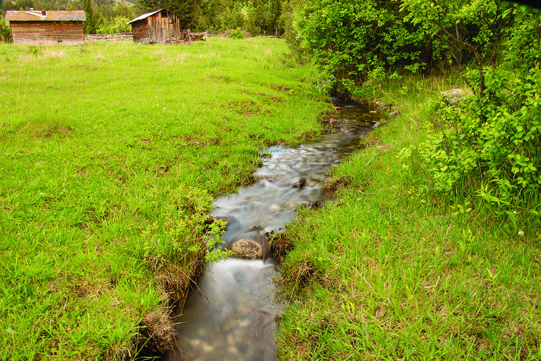 Shorthill Homestead property picture 4 of 25