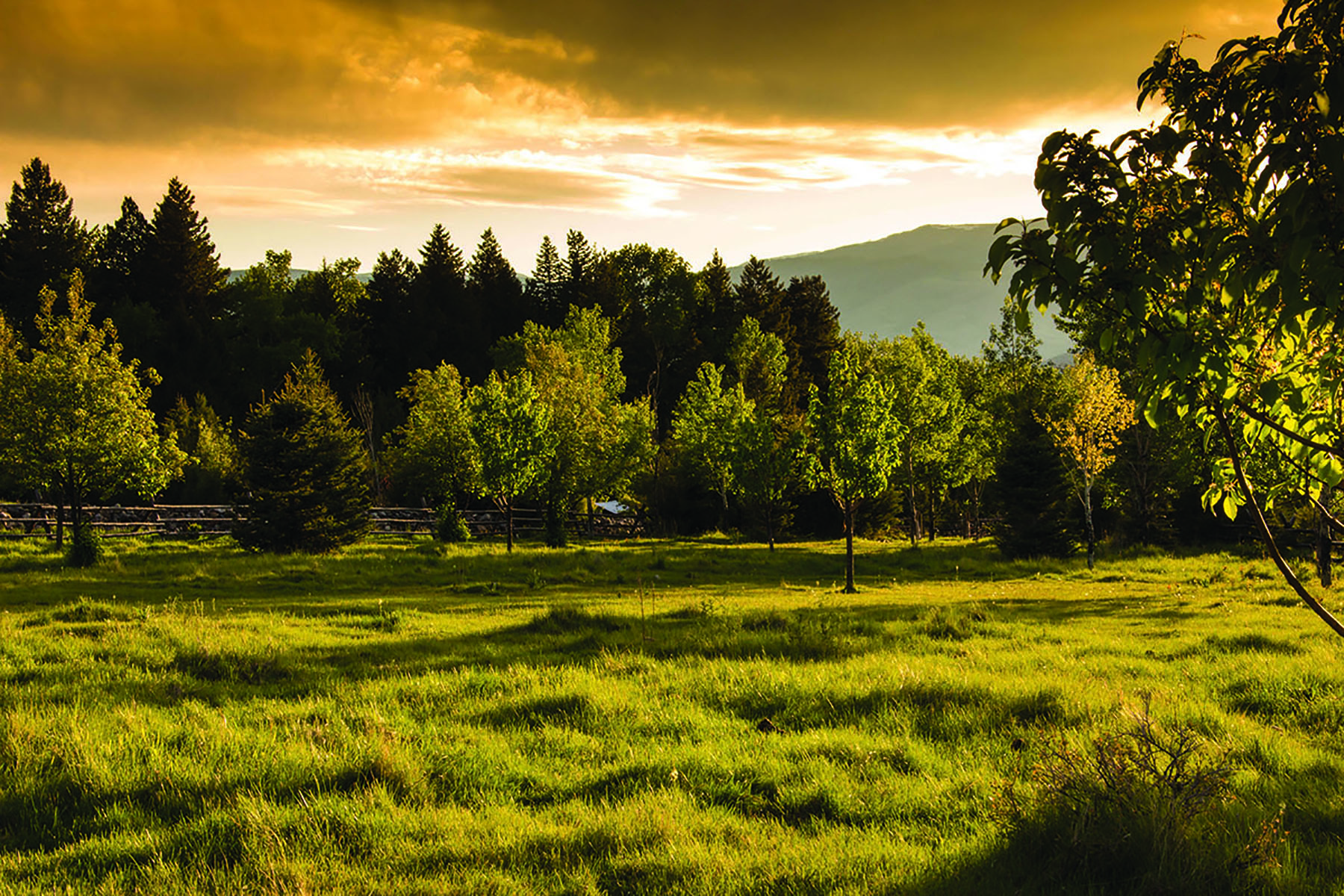 Shorthill Homestead property picture 12 of 25