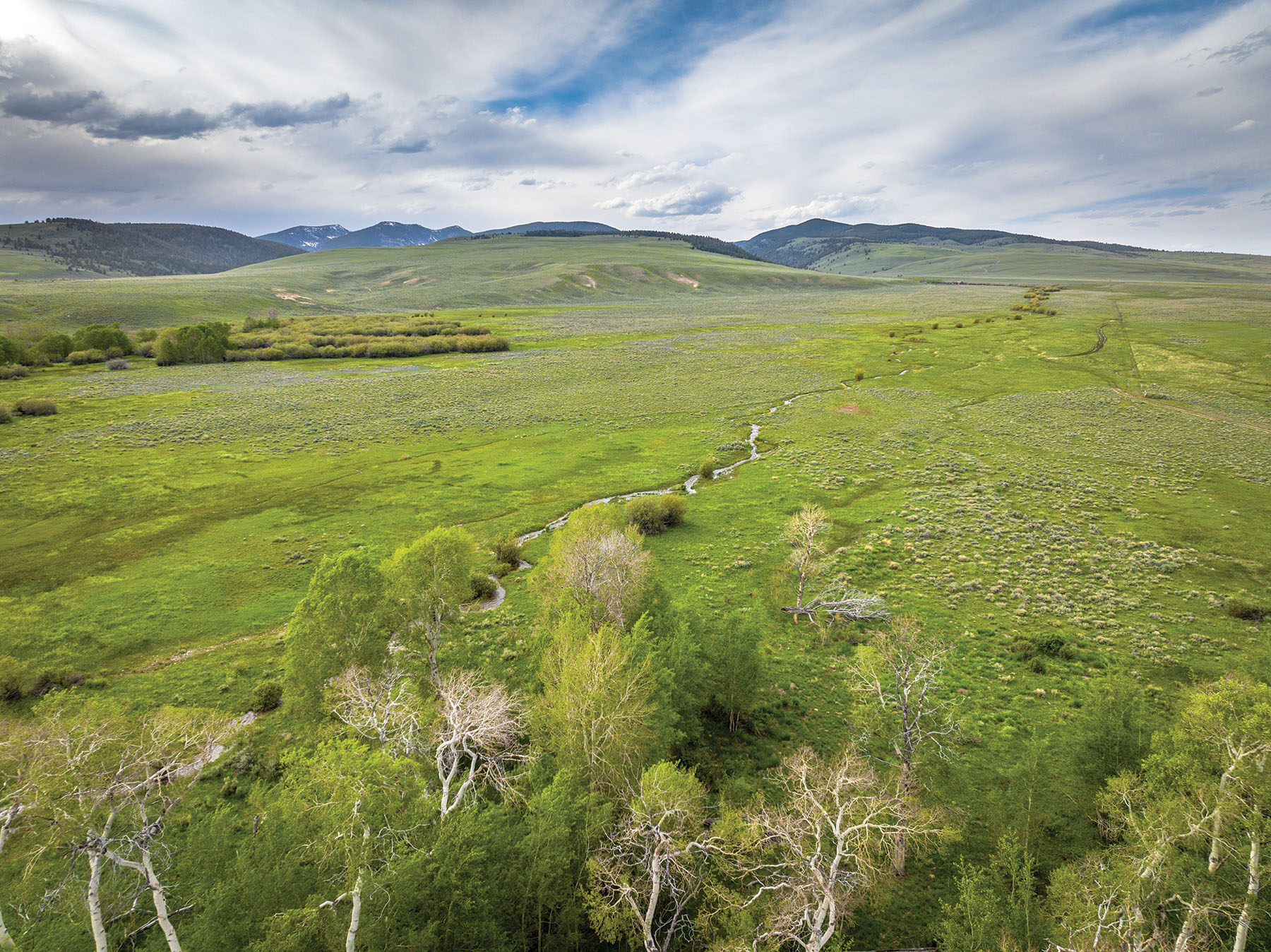 Horse Prairie Ranch property picture 56 of 78