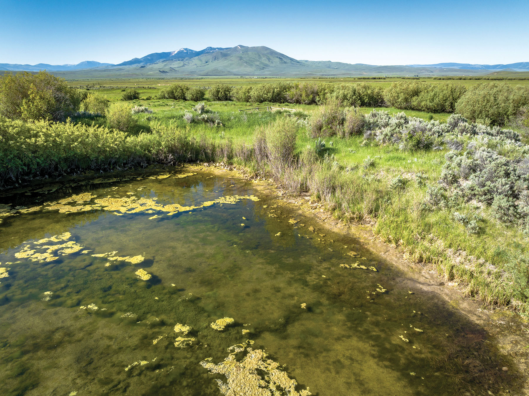 Horse Prairie Ranch property picture 66 of 78