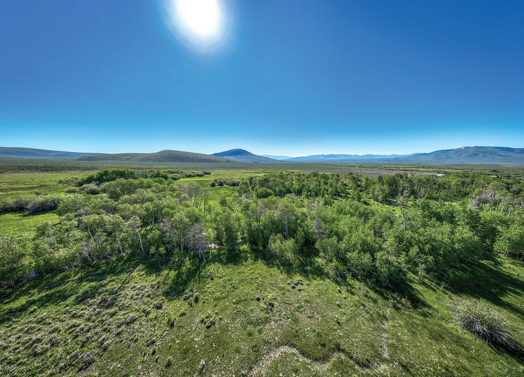 Horse Prairie Ranch property picture 70 of 78
