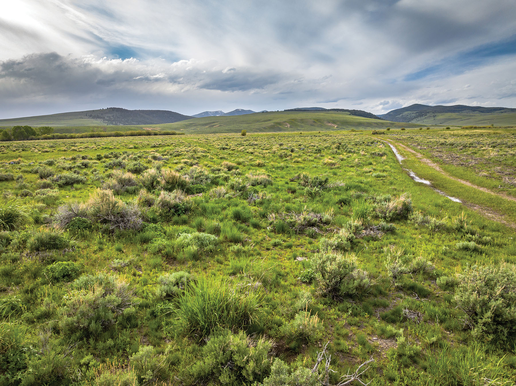 Horse Prairie Ranch property picture 41 of 78