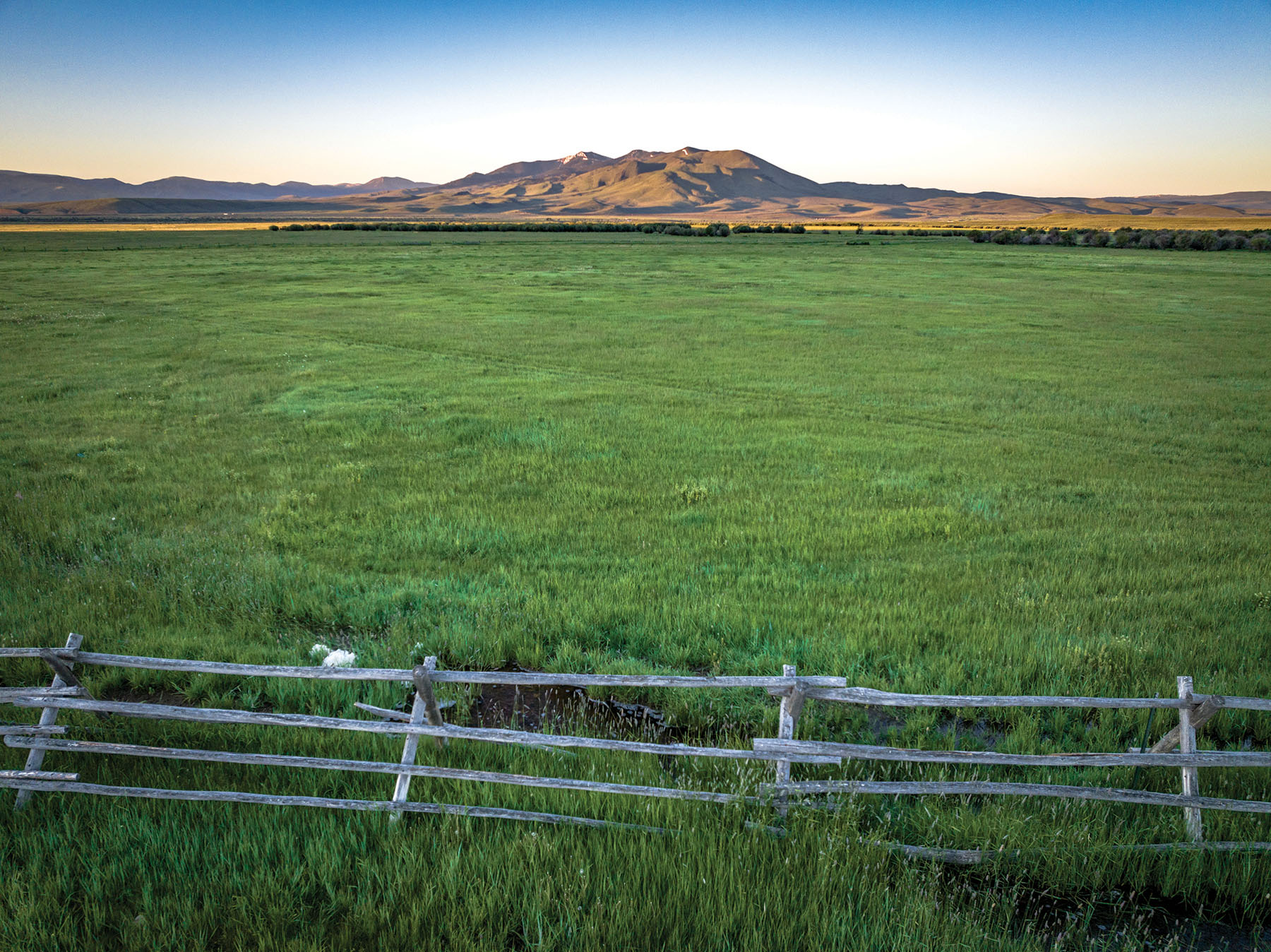 Horse Prairie Ranch property picture 10 of 78