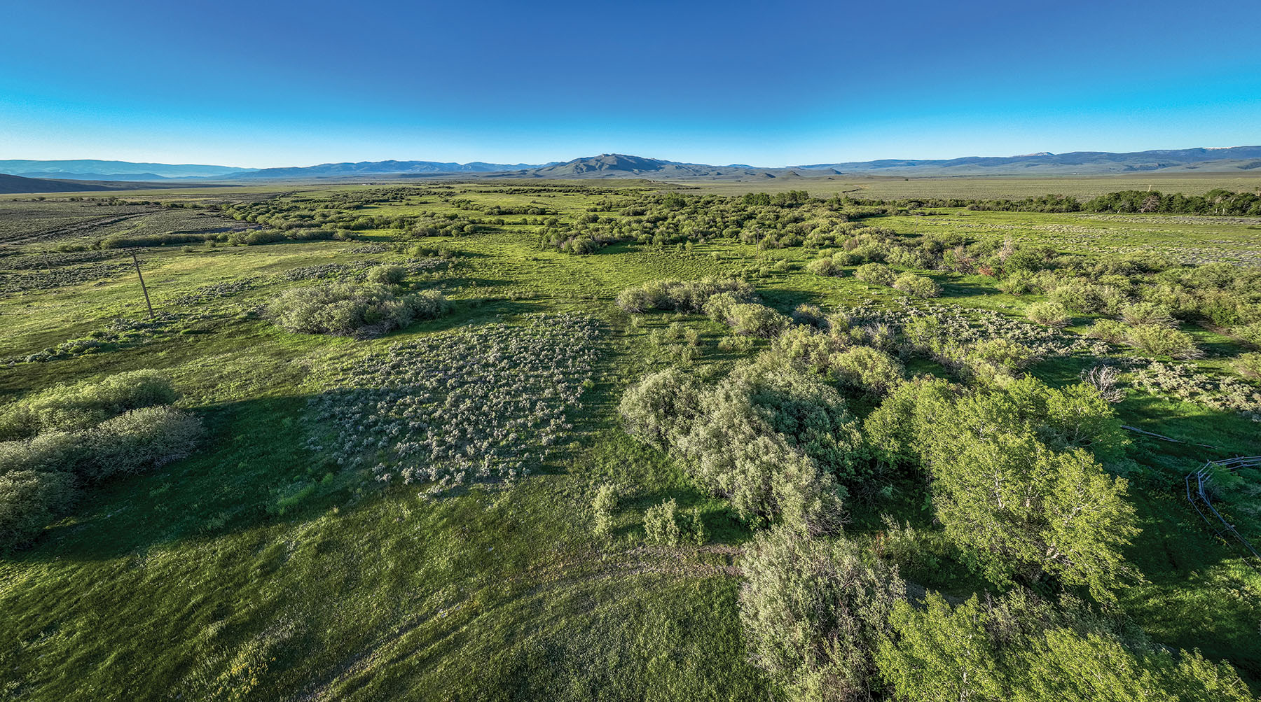 Horse Prairie Ranch property picture 60 of 78