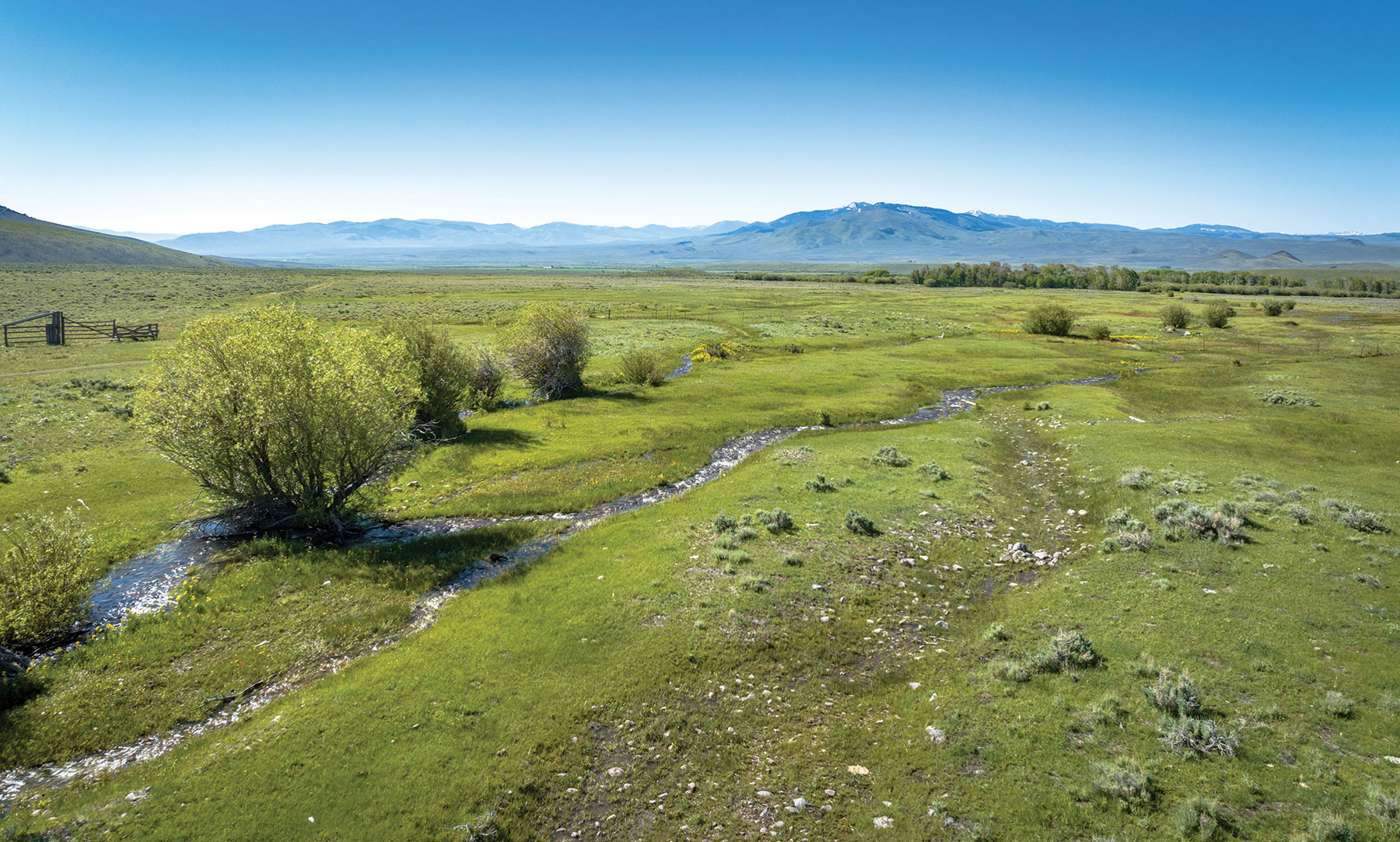 Horse Prairie Ranch property picture 71 of 78
