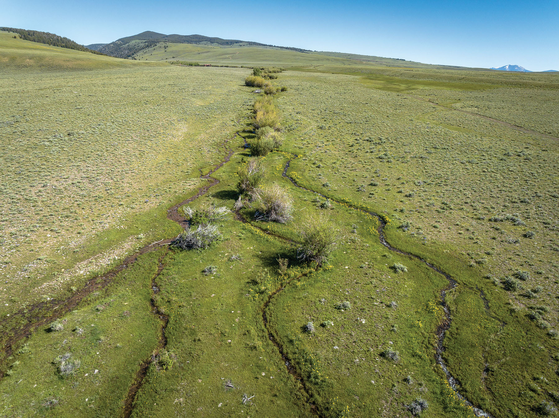 Horse Prairie Ranch property picture 68 of 78