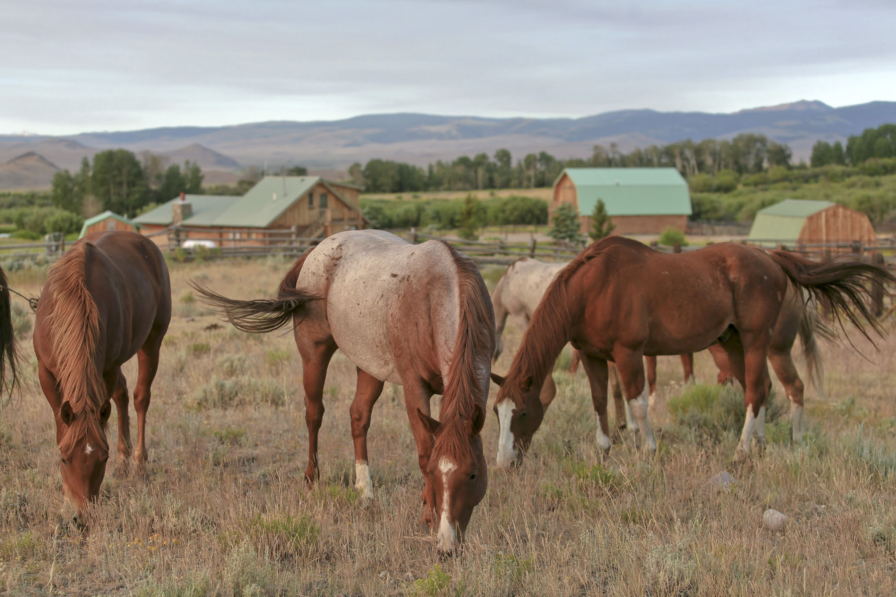 Horse Prairie Ranch property picture 25 of 78