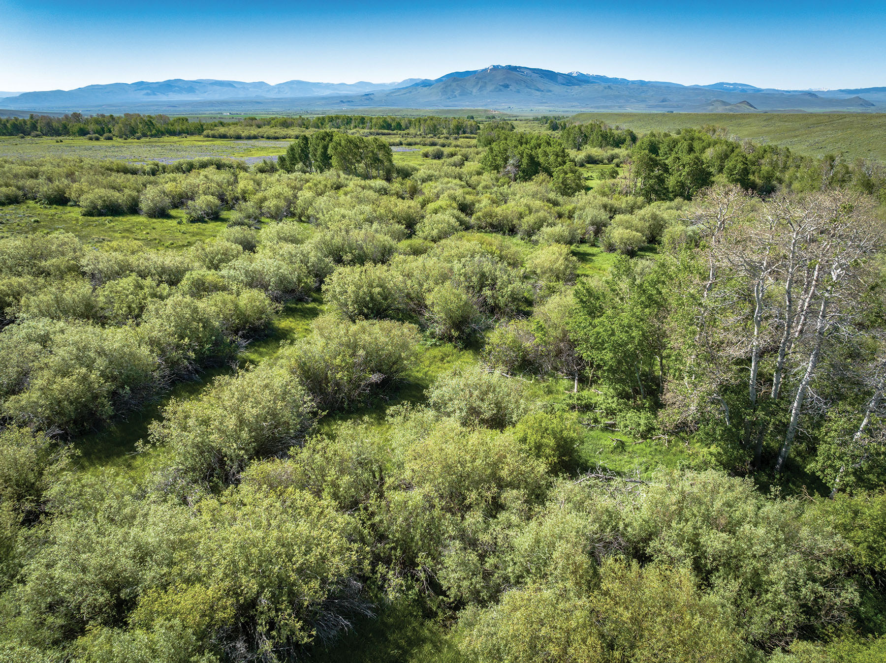 Horse Prairie Ranch property picture 51 of 78
