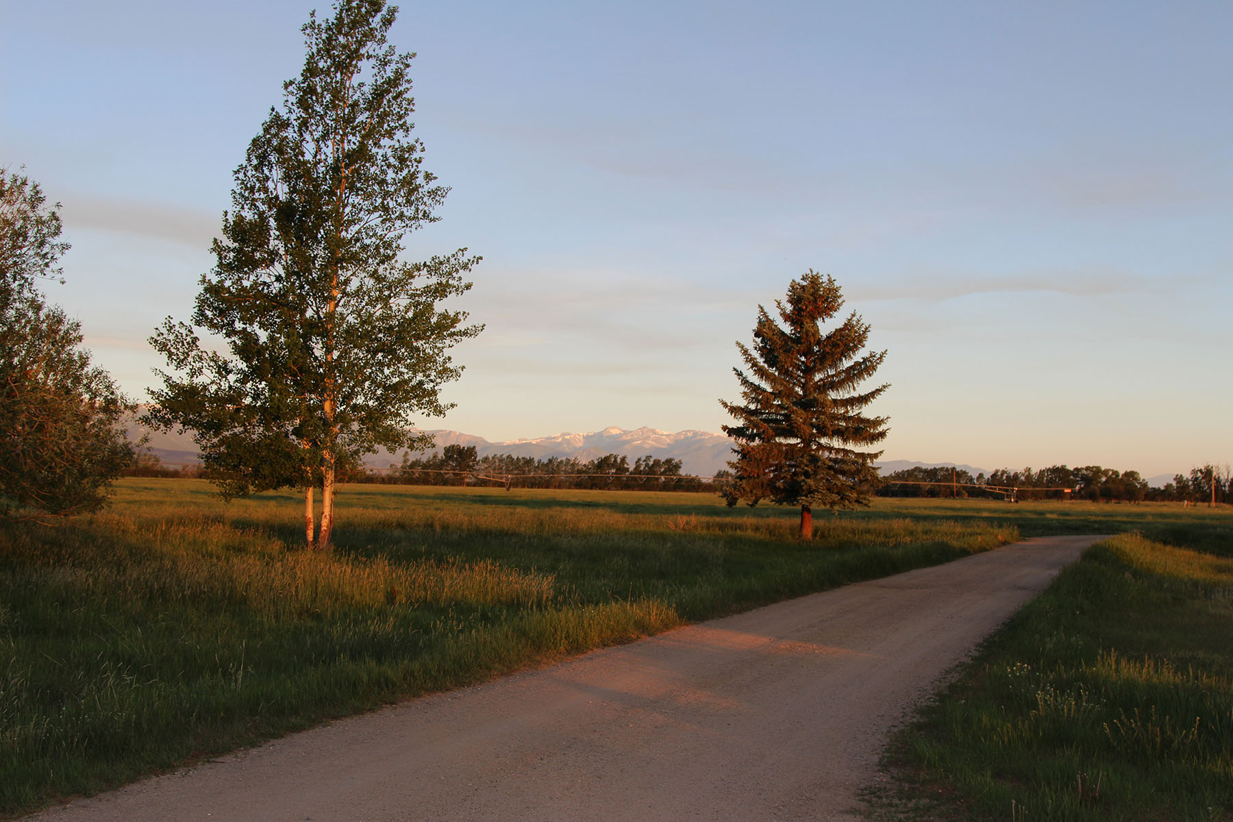 Beartooth Farmhouse property picture 42 of 42