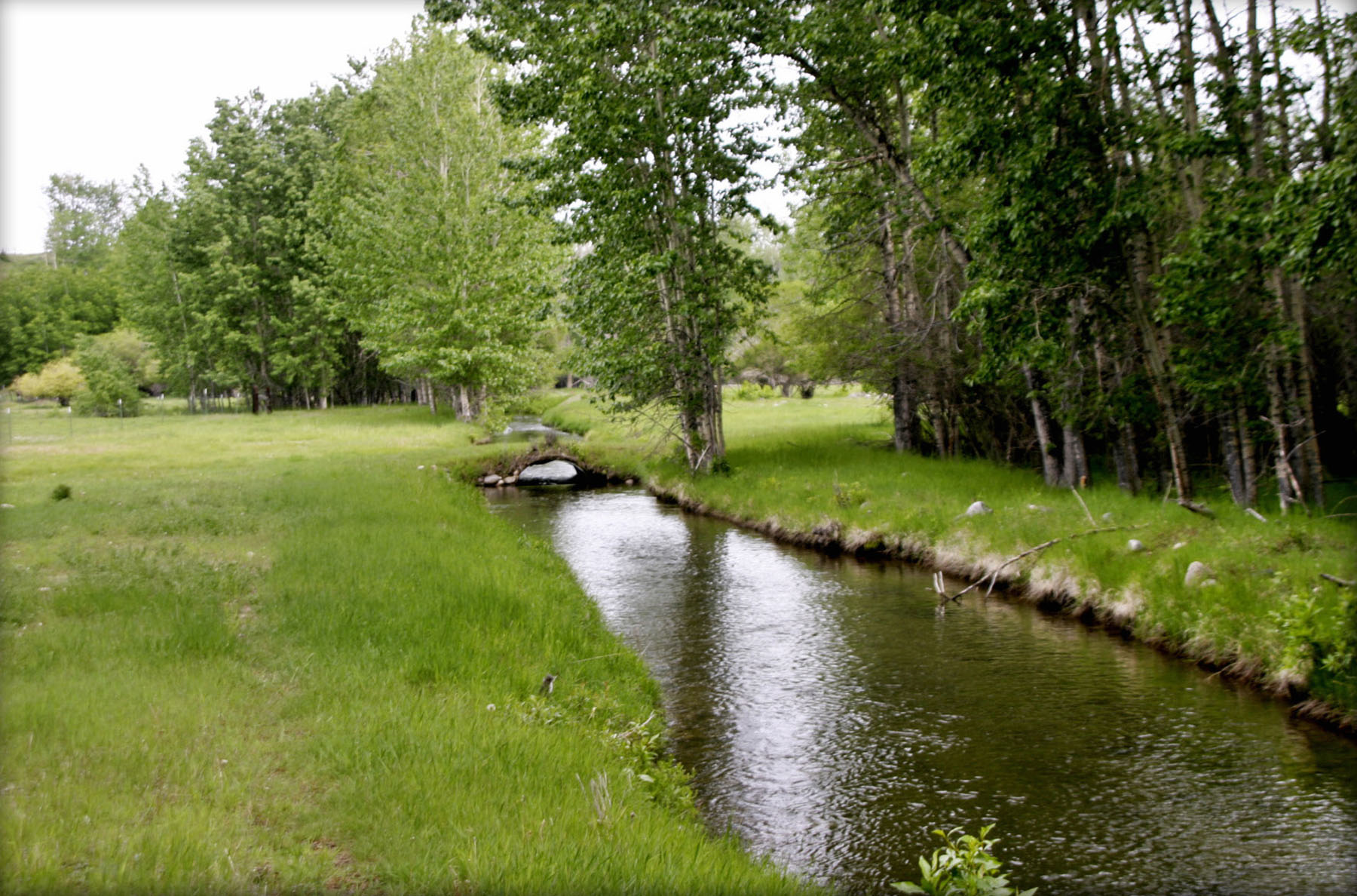 Beartooth Farmhouse property picture 4 of 42