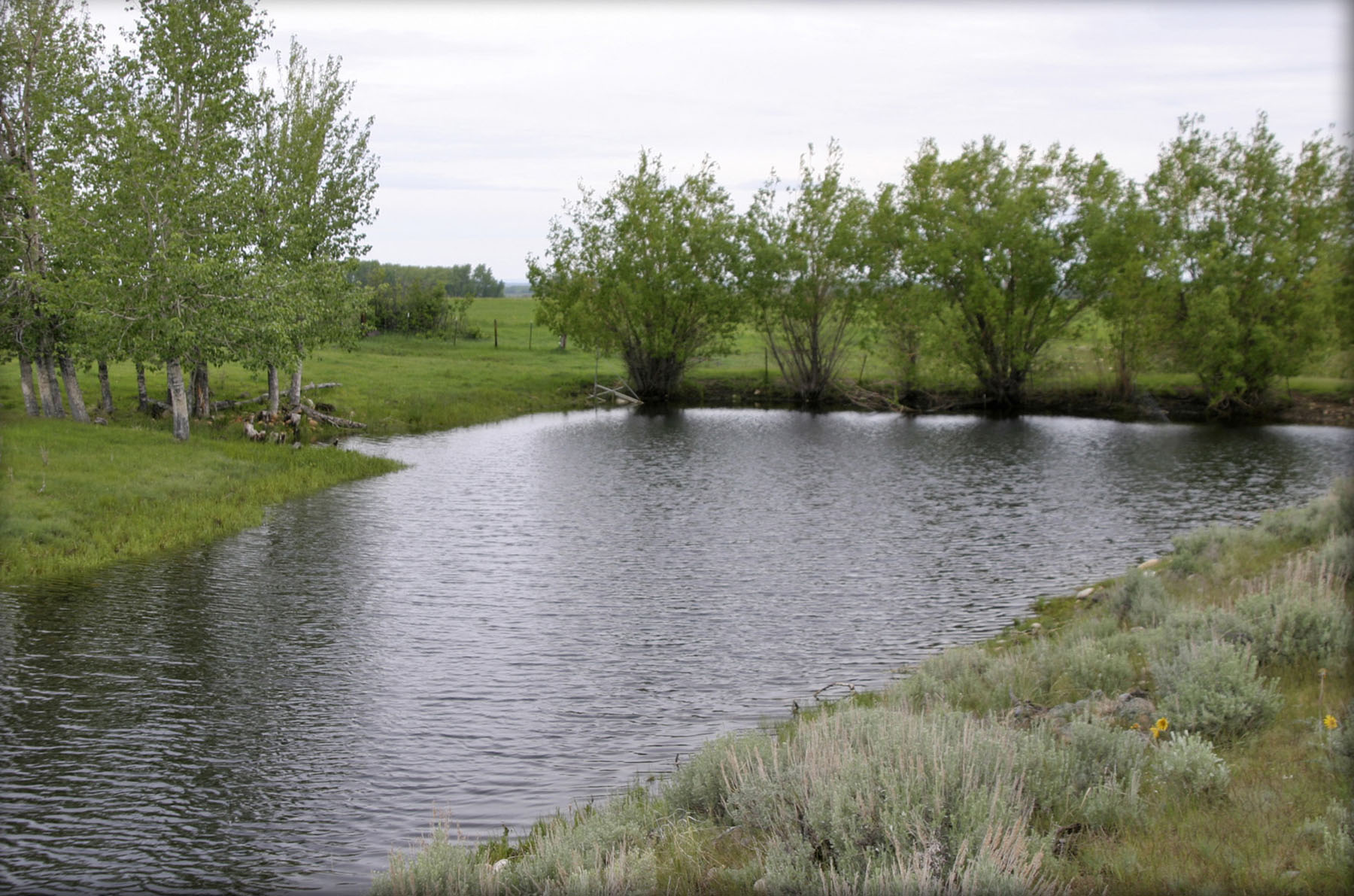 Beartooth Farmhouse property picture 29 of 42