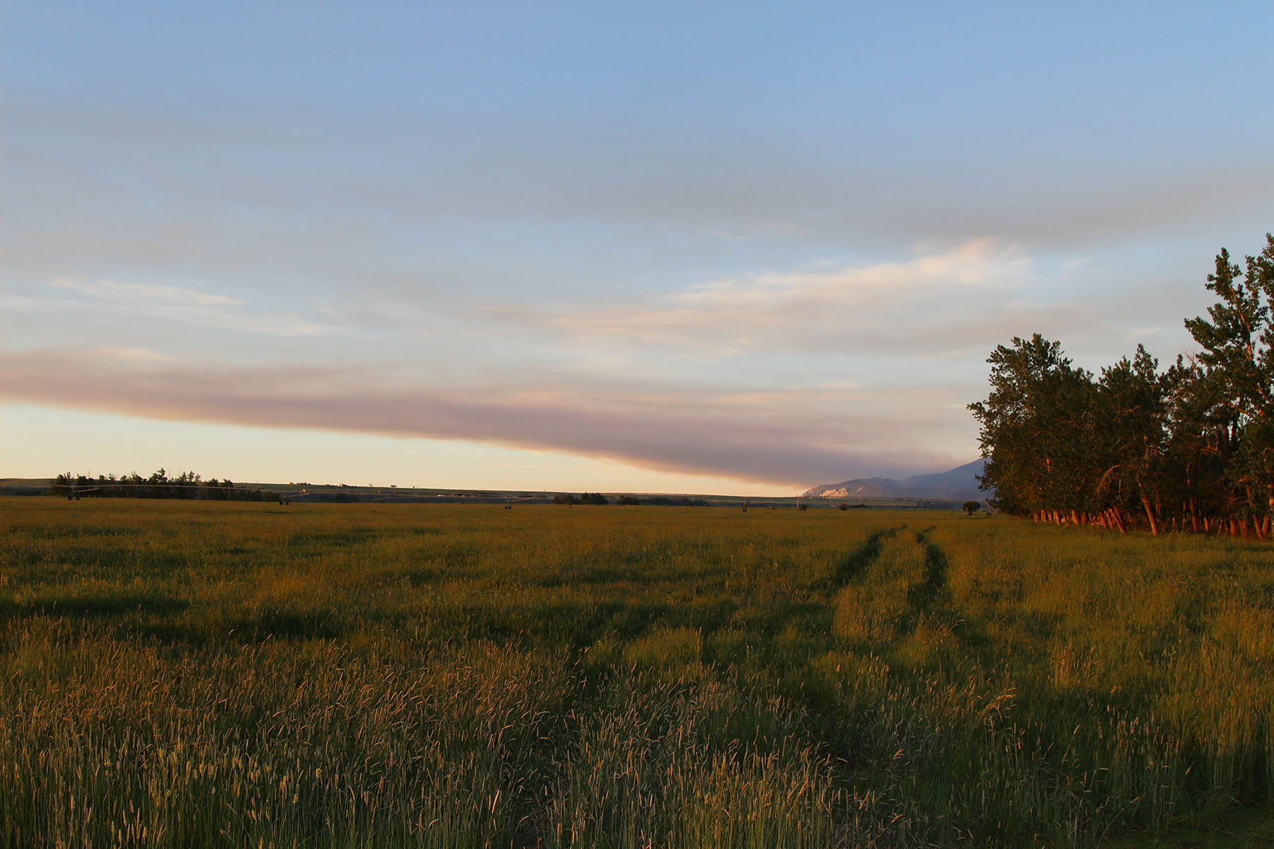 Beartooth Farmhouse property picture 31 of 42