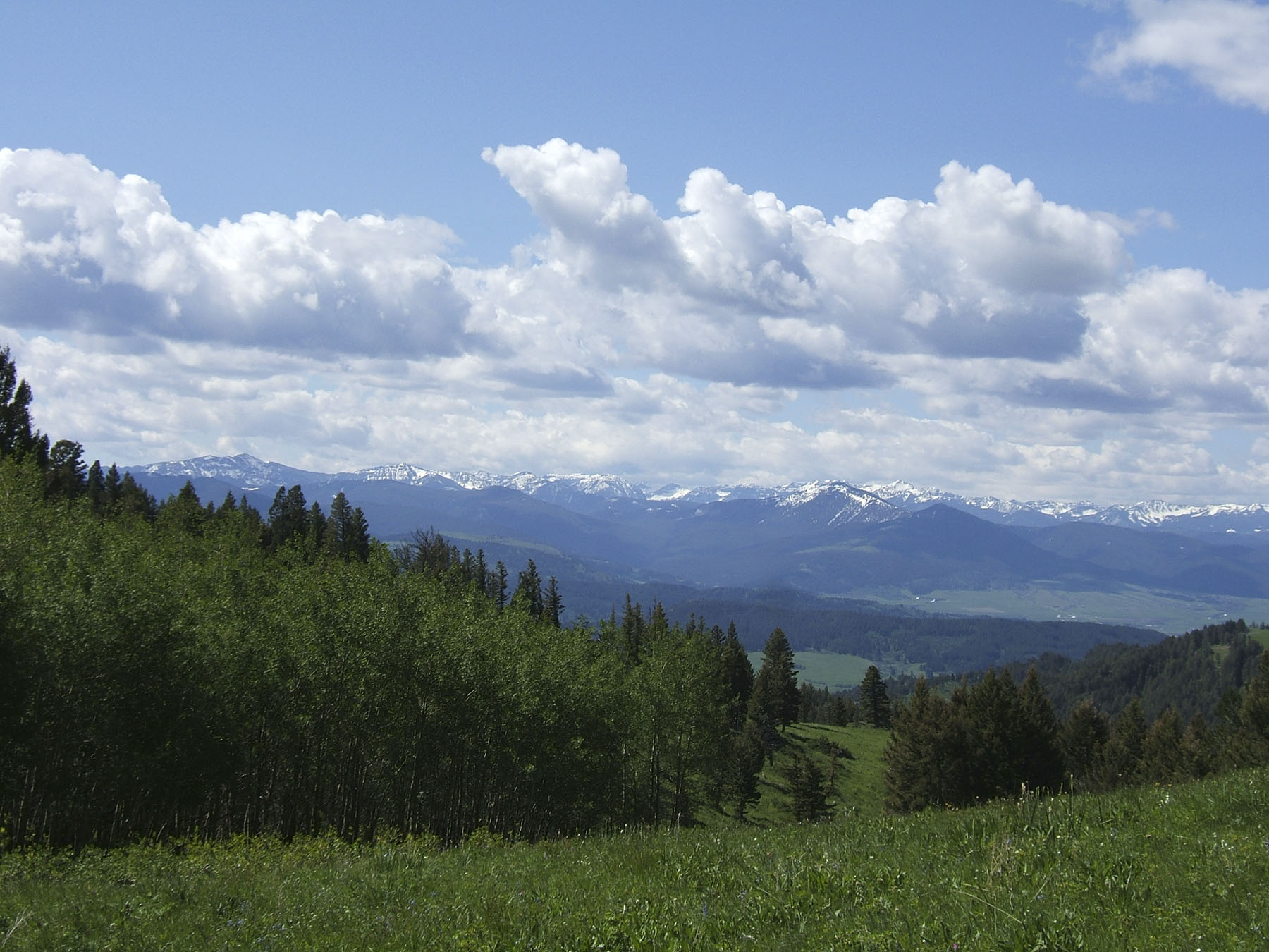 Timber Ridge Ranch property picture 5 of 6