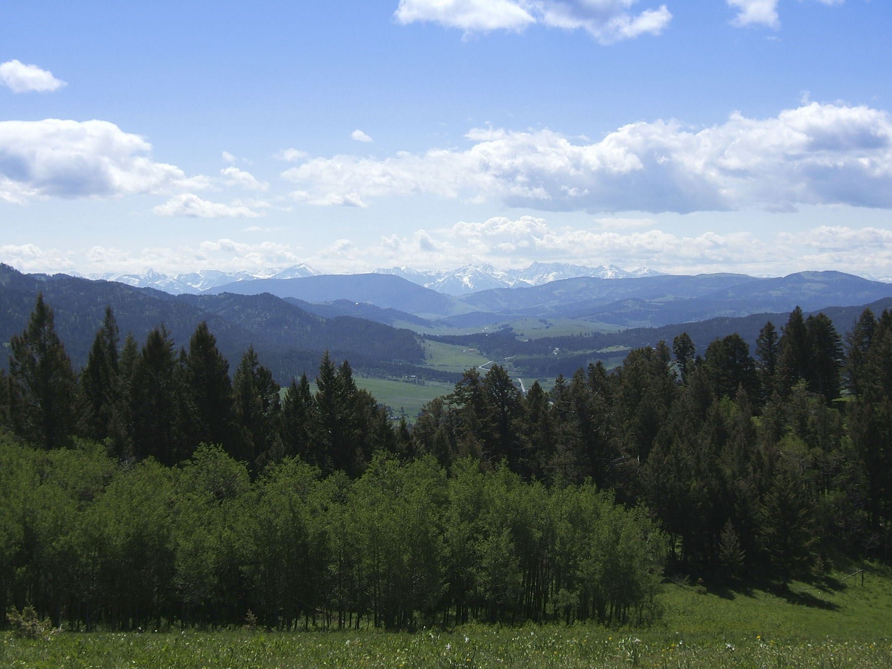 Timber Ridge Ranch property picture 2 of 6