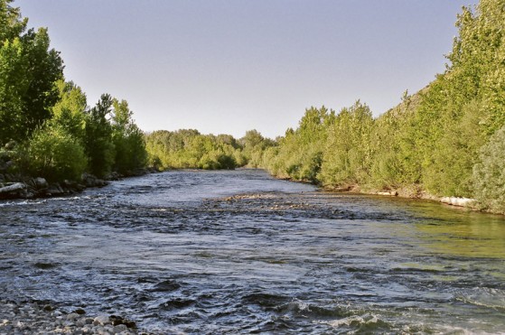 Swiftsure Ranch property picture 3 of 6