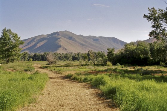 Swiftsure Ranch property picture 5 of 6