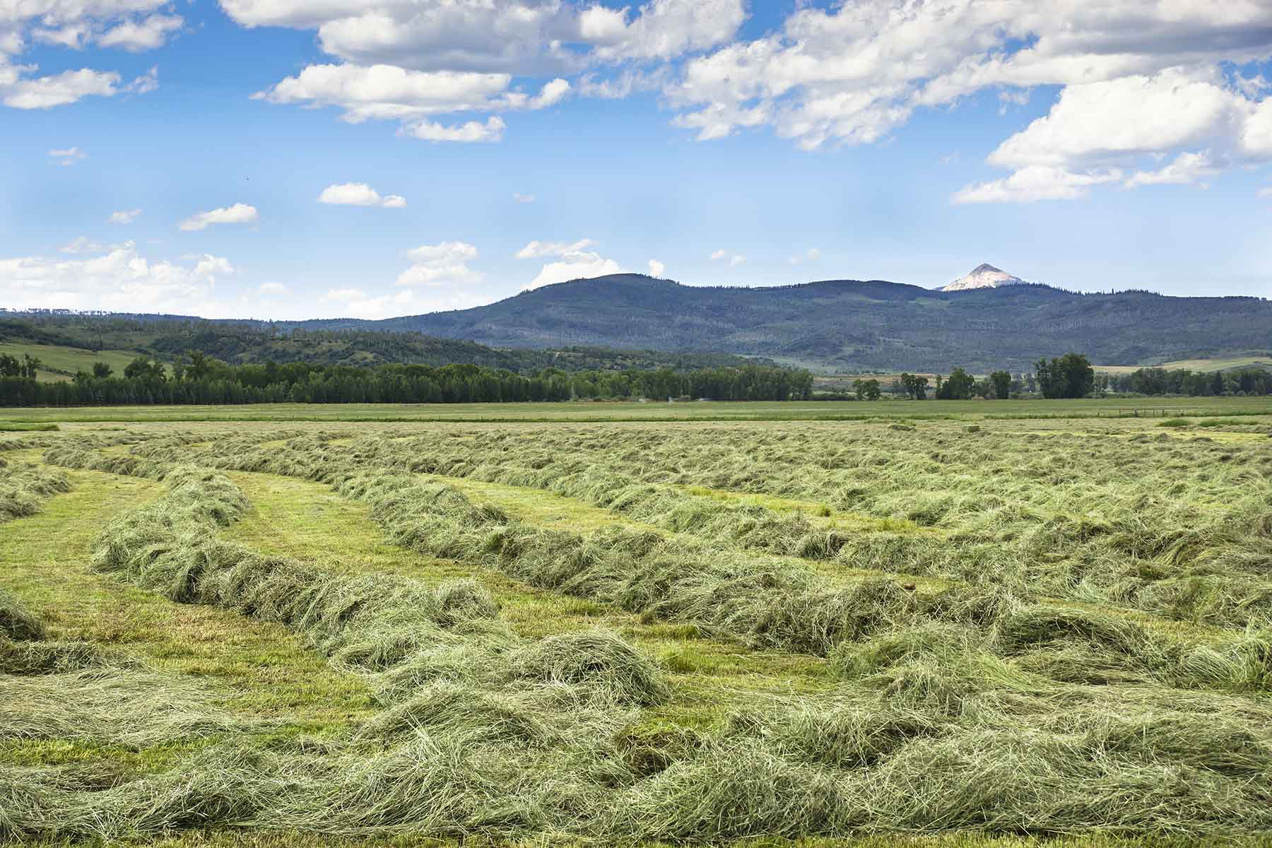 Three Waters Ranch property picture 4 of 148