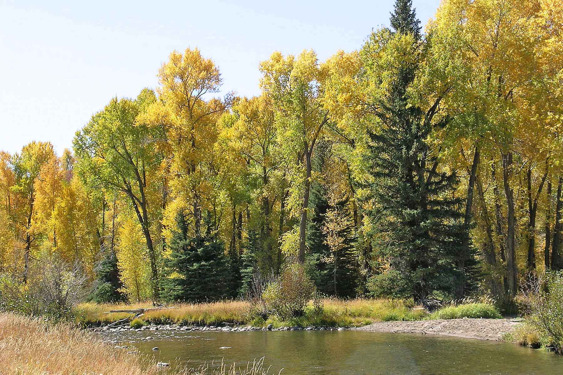 Three Waters Ranch property picture 17 of 148