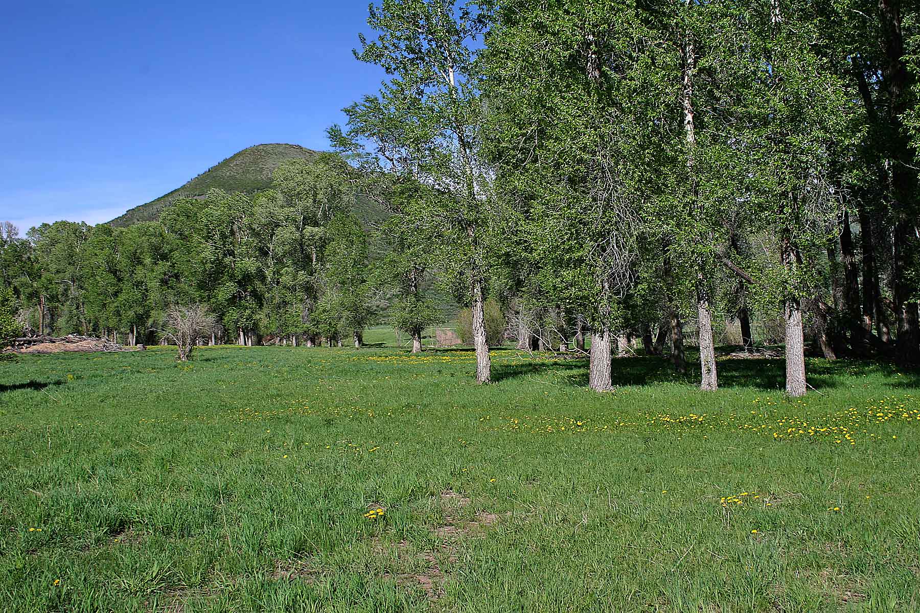 Three Waters Ranch property picture 25 of 148