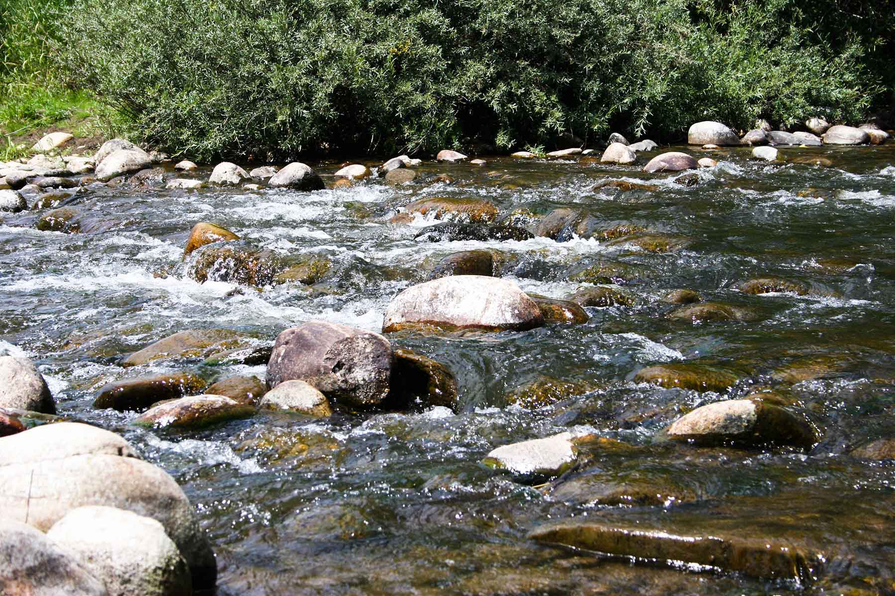 Three Waters Ranch property picture 37 of 148