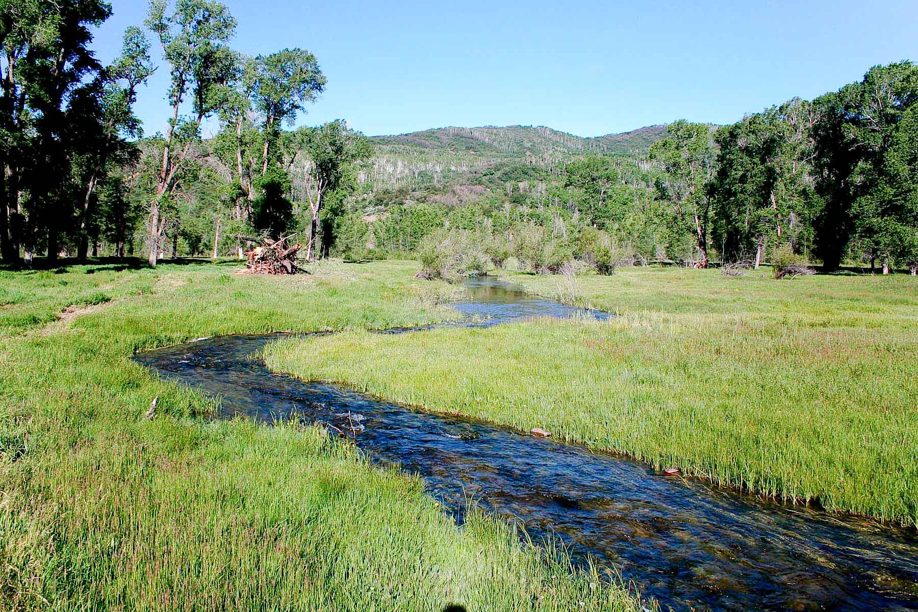 Three Waters Ranch property picture 49 of 148