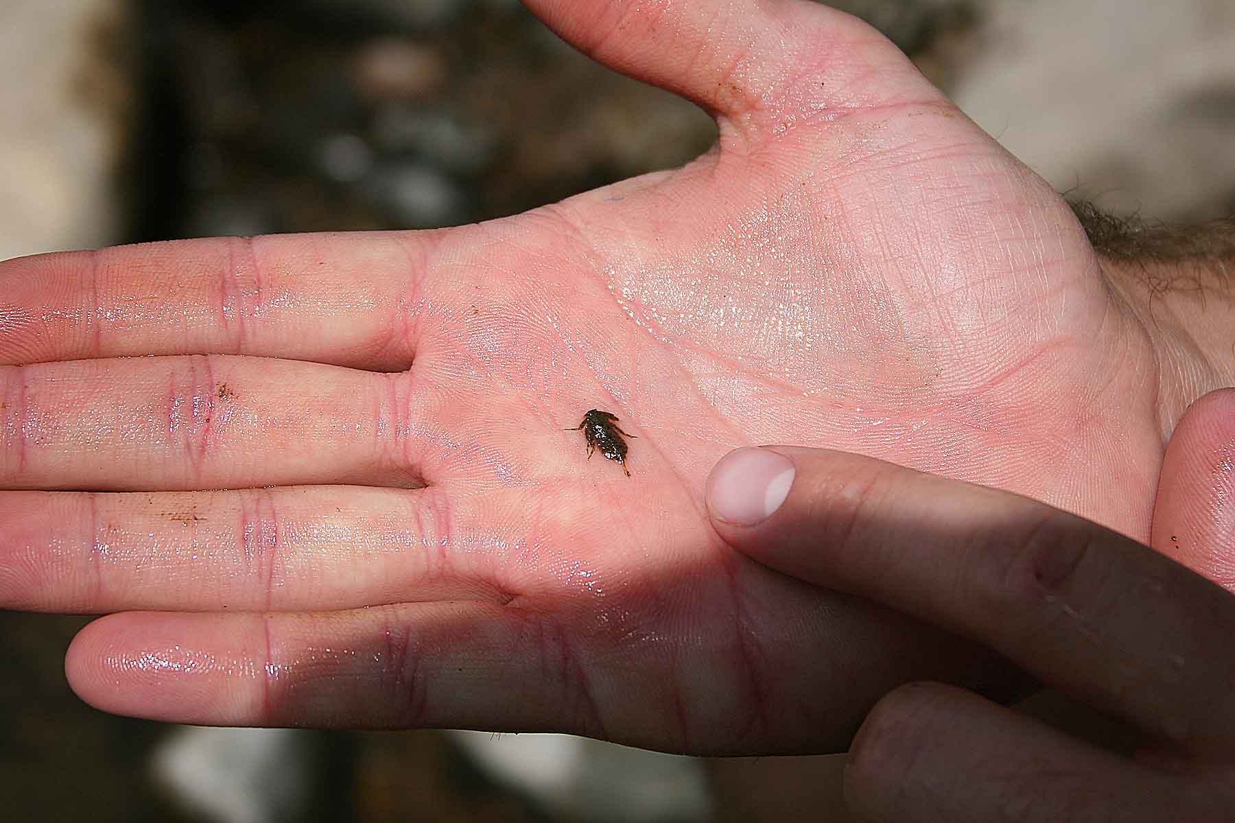 Three Waters Ranch property picture 147 of 148