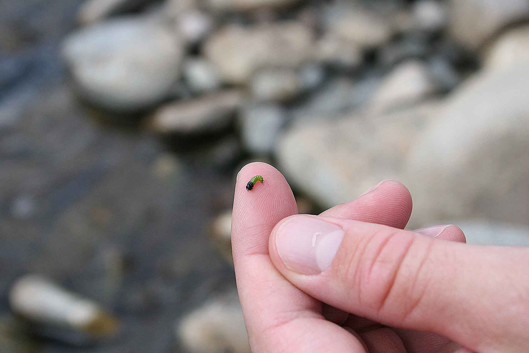 Three Waters Ranch property picture 146 of 148