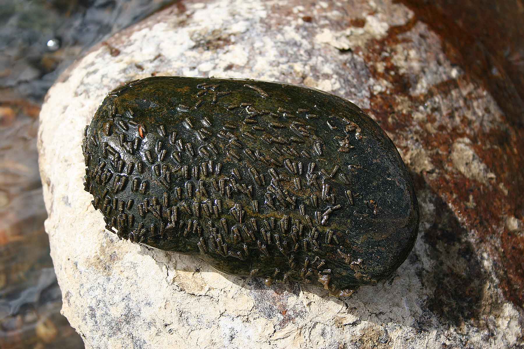 Three Waters Ranch property picture 145 of 148