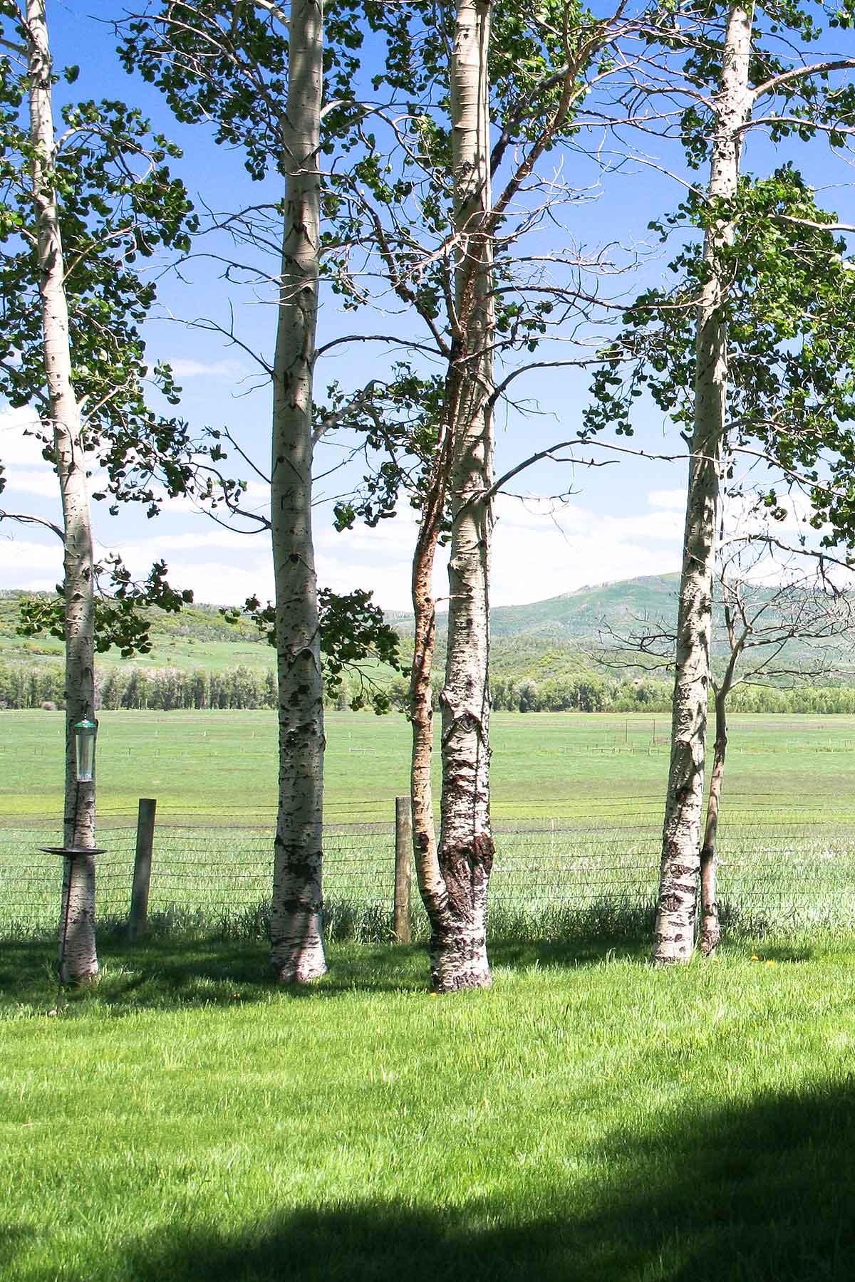 Three Waters Ranch property picture 110 of 148