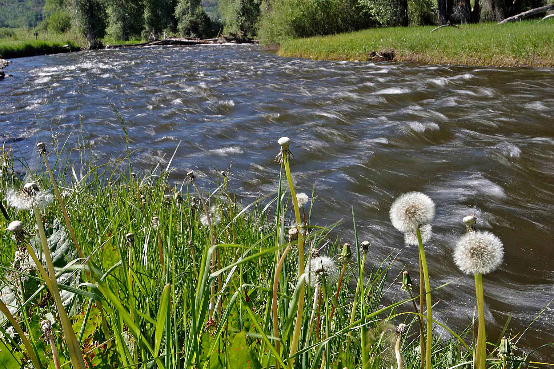 Three Waters Ranch property picture 98 of 148