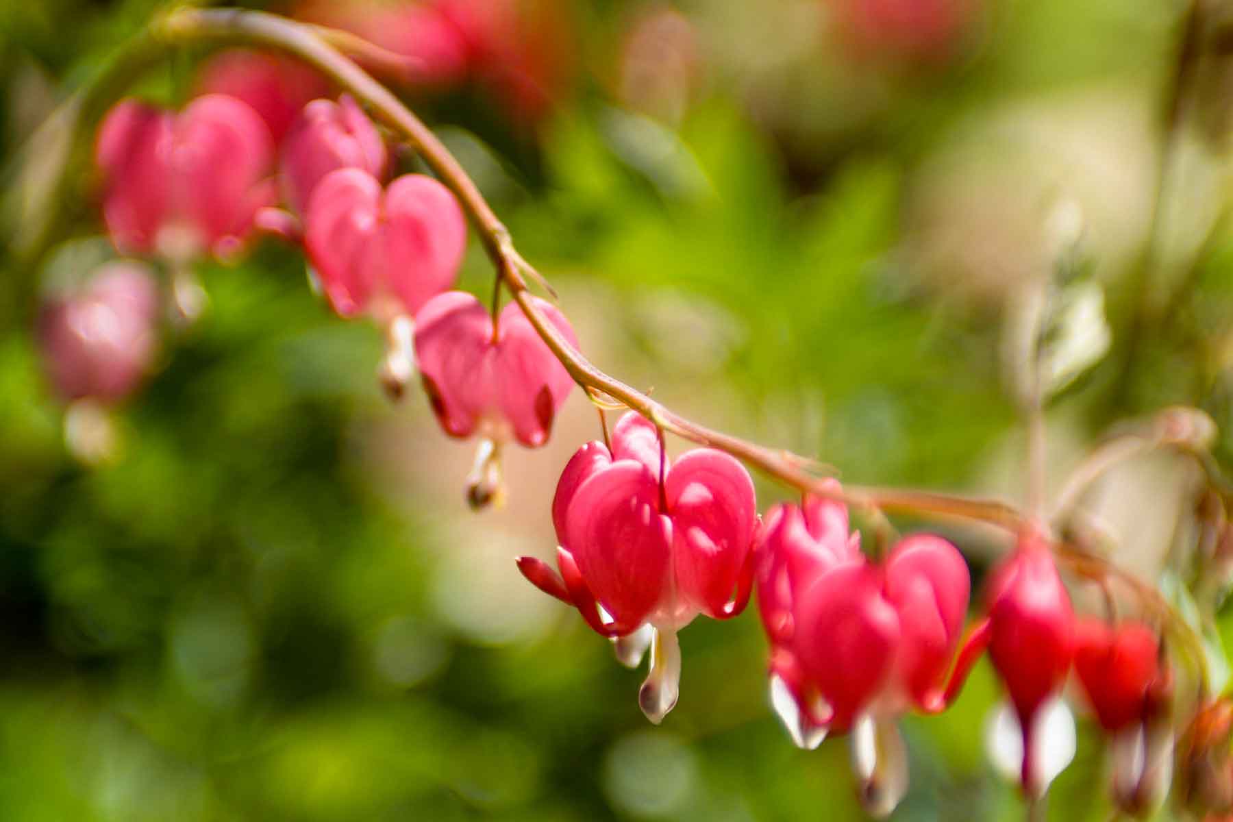 Three Waters Ranch property picture 95 of 148